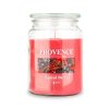 CANDLE IN GLASS WITH LID 510G SPICED BERRY,1 WICK