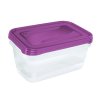 FOOD CONTAINER FRESH & FREEZE 3PCS 1,25L