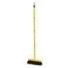 TORO broom with handle 120 cm, Bees