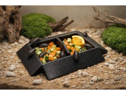 F232EB82 48C0 493C ACE7 FABDC8ABEFA6