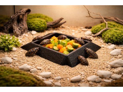 AEE67E23 FCD2 42BC 901C 2107F4AE8A1F