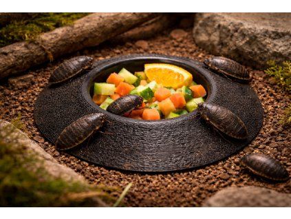 8BBA5D9A CF68 46EC 9B71 647136E649B4