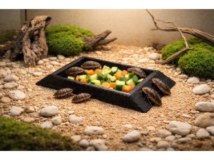 CBE2808C 8BCA 4942 9098 18322C843D31