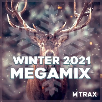 winter 2021 megamix cover