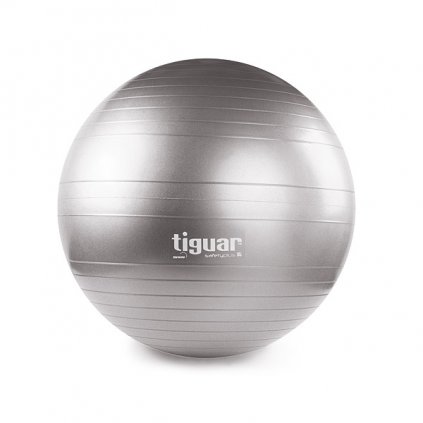 Tiguar gymnastický míč 65 cm (šedý)_01