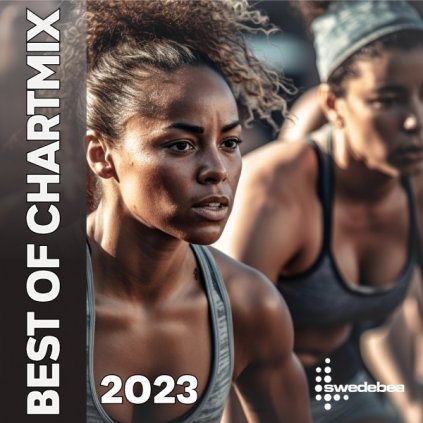 best of chartmix 2023 artwork
