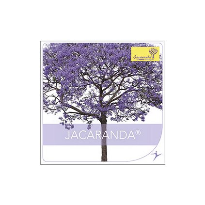 JACARANDA_01