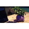 Polymaker PolyTerra PLA  Peach  1,75mm 1kg
