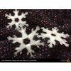 PLA Crystal Clear Fillamentum Snowflake