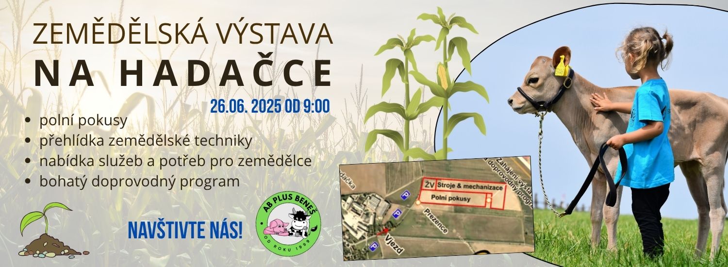 Hadačka
