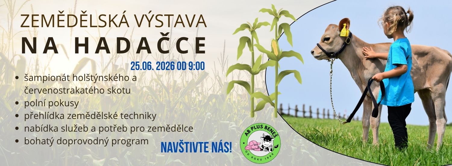 Pozvánka na výstavu v Kralovicích