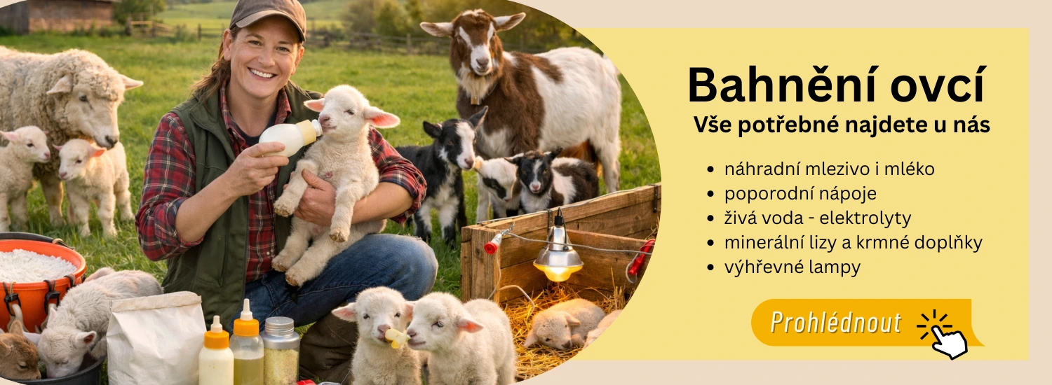 Potřeby pro bahnění ovcí