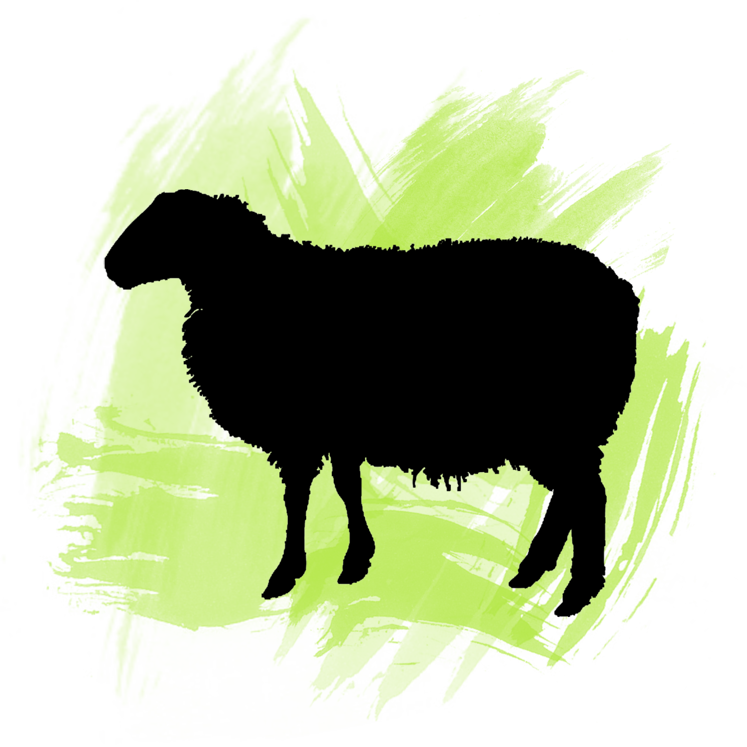 Potřeby pro chov ovcí