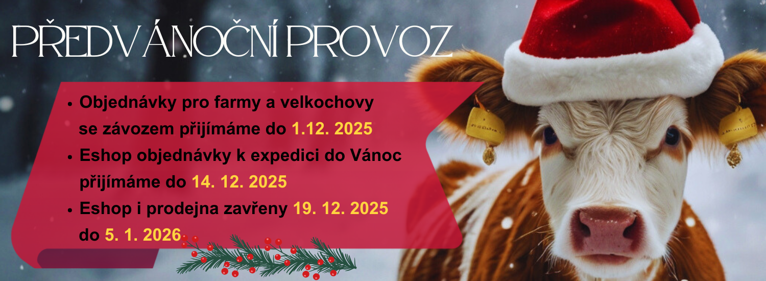 Předvánoční provoz