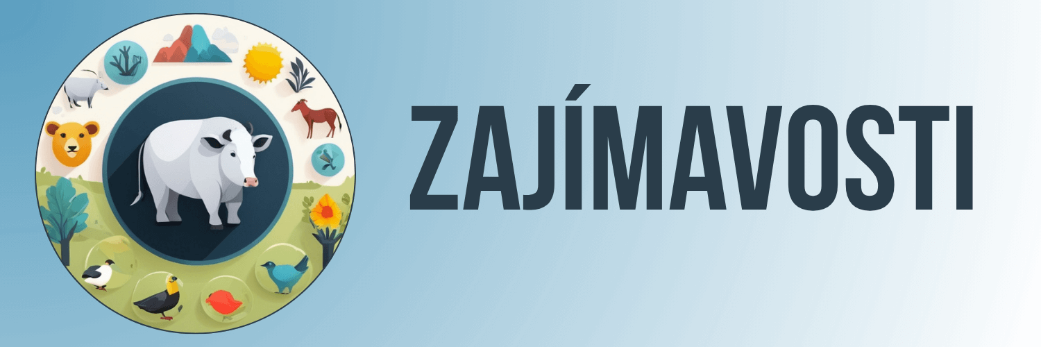 Zajímavosti