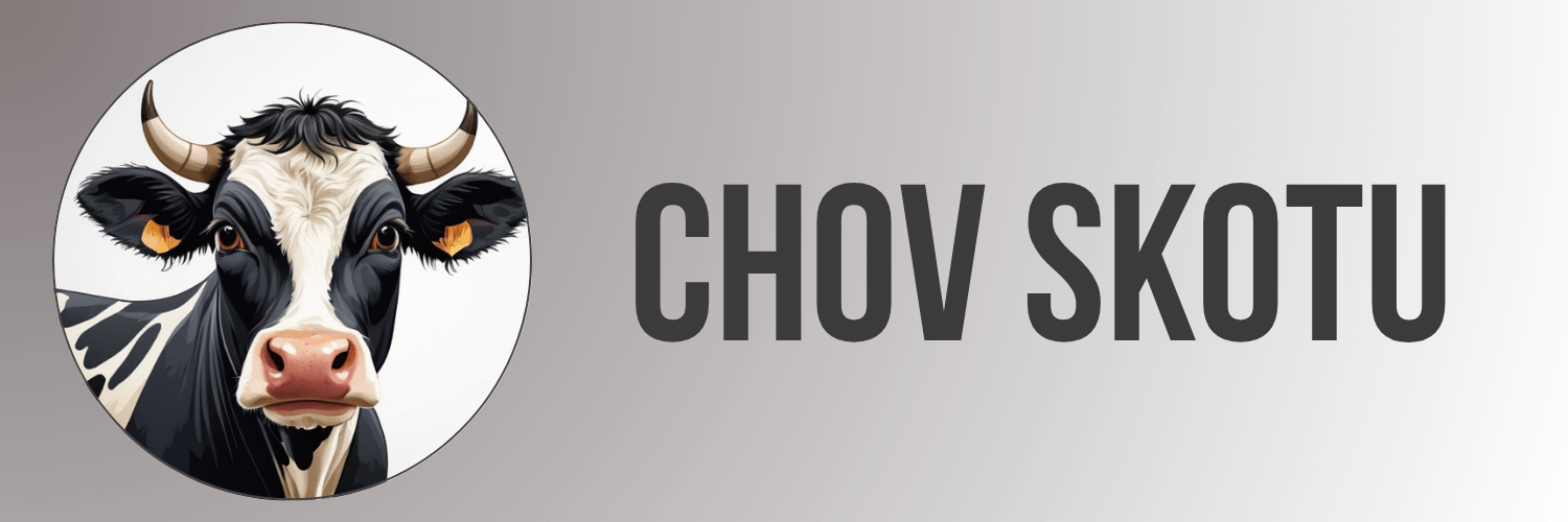 Chov skotu