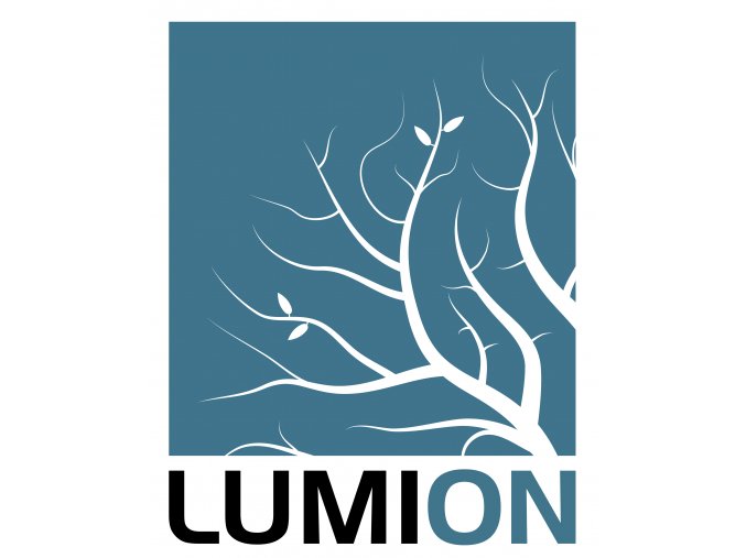 Lumion Logo 2016 TwoColors On White