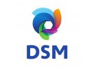 DSM