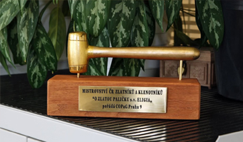 Mistrovství republiky žáků oboru Zlatník - klenotník zná své vítěze