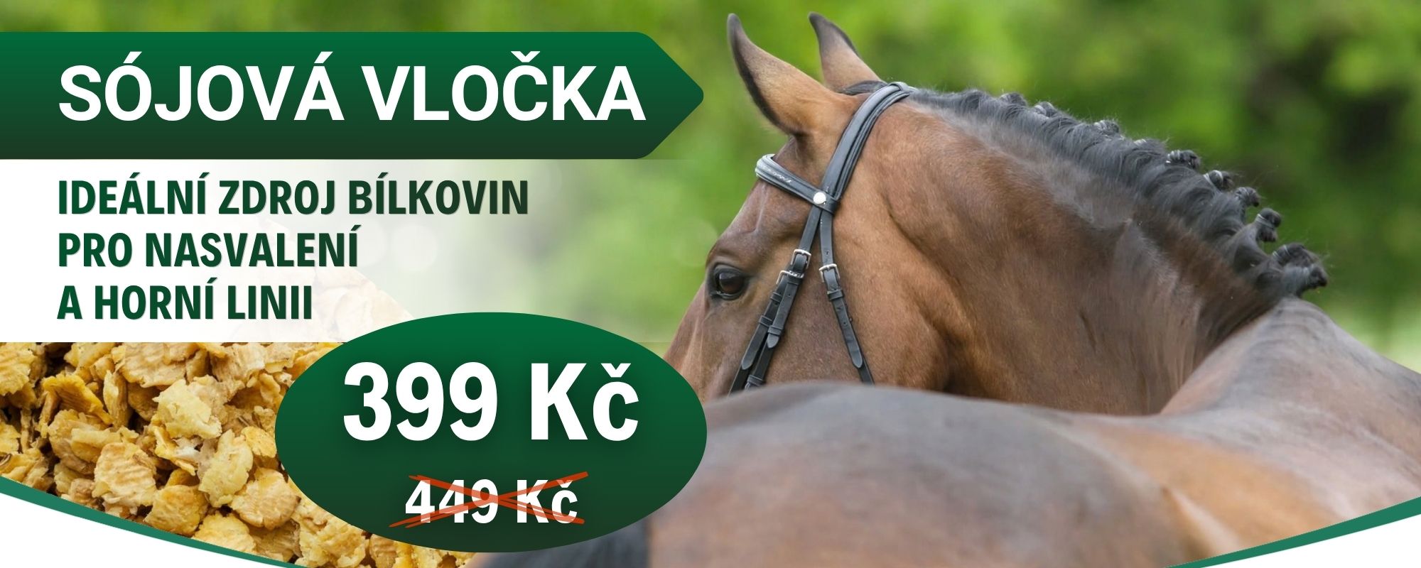 Sójová vločka