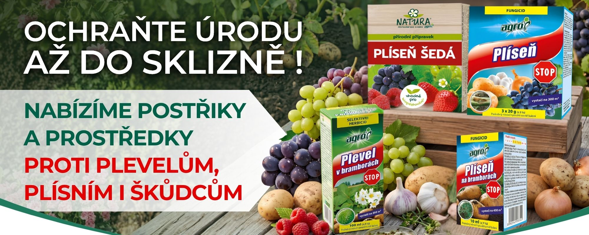 Ochrana rostlin