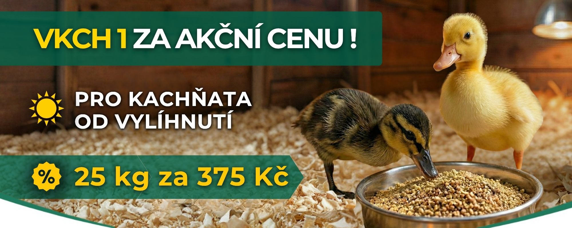 VKCH 1 akce
