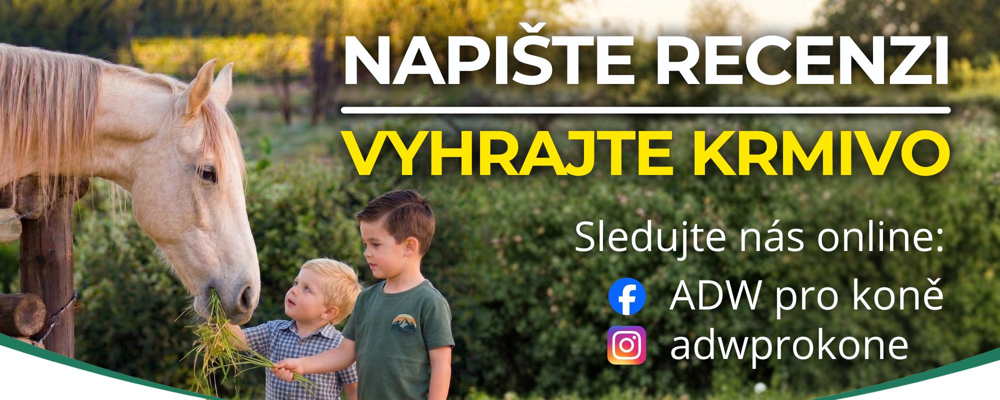 Soutěž koně recenze