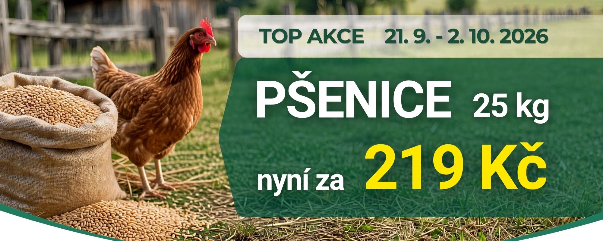 Pšenice akce