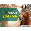 Koně 5+mash