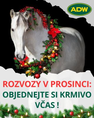 🎄 Vánoce se nezadržitelně blíží - advent začíná už za týden! Mezi svátky nás tradičně čekají velké inventury a hlavně...