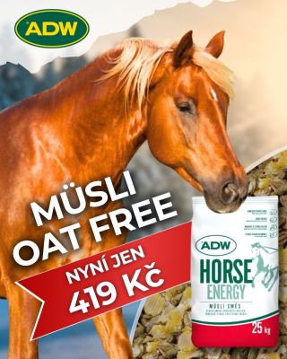 💥 Bezovsové MÜSLI OAT FREE jen za 419 Kč ! Chcete koně dostat do kondice, udržet výkonnost a zároveň nezatěžovat jeho...