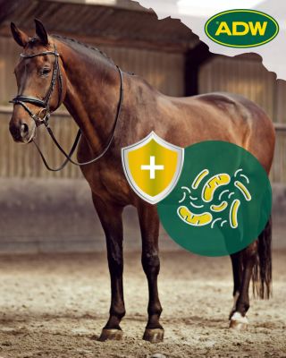 Prevence je lepší než léčba 🦠 V poslední době jsou častou volbou při "neurčitých problémech" probiotika. Ať už jde o...