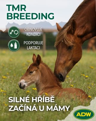 🐴 Nejlepší start do života začíná u mámy První týdny života hříběte jsou kritické a vše stojí na jediném zdroji: kvalitním...