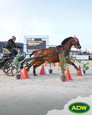 A máme tu VYHLÁŠENÍ VÝHERCŮ naší květnové soutěže o novinku Sprint Horse! Z řad našich facebookových sledujících získává...
