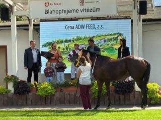 Gratulujeme dnešním vítězům Ceny ADW FEED, a.s. - Master Westminster a Marcel Novák ml., trenér Radim Bodlák 🏆 #adwprokone...