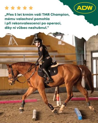 Pozitivní recenze nás vždycky potěší: "Přes 5 let krmím vaši TMR Champion, mému valachovi pomohla i při rekonvalescenci po...
