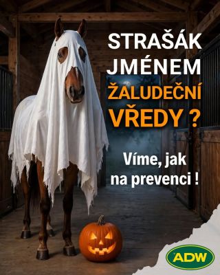 🎃 Strašák jménem žaludeční vředy! 👻 Tento "bubák" bohužel obchází nejednu stáj a dokáže koně velmi nepříjemně potrápit....