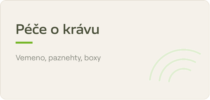 Péče o krávu
