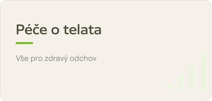 Péče o telata