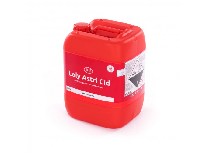 Lely Lely Astri Cid 1920px