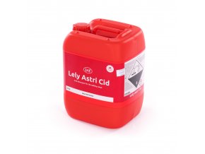 Lely Lely Astri Cid 1920px