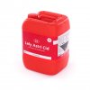 Lely Lely Astri Cid 1920px