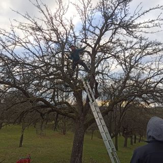 Dva dny nás učil (ne)řezat ovocné stromy David Fendrych - Letorast🍎 Děkujeme za účast a příští rok přidáme i kurz...