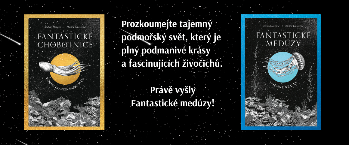 reklama