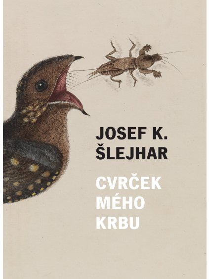 Cvrček mého krbu