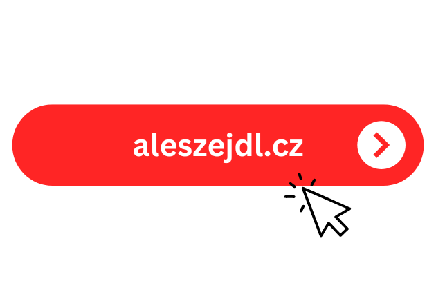 aleszejdl.cz