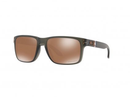 Oakley Holbrook OO 9102 G6