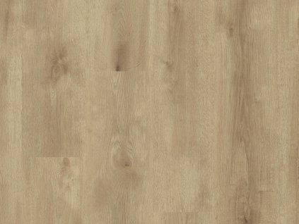 ELEGANCE RIGID 55