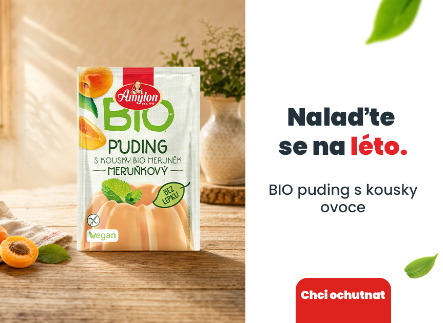 Bio puding Meruňkový