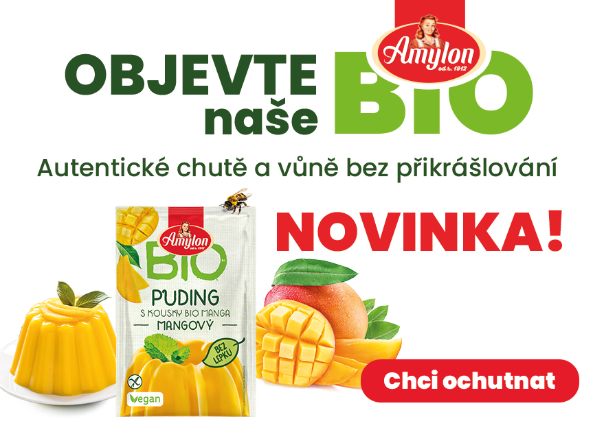 BIO Puding mangový
